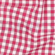 CHECK BERRY (thumbnail) #2