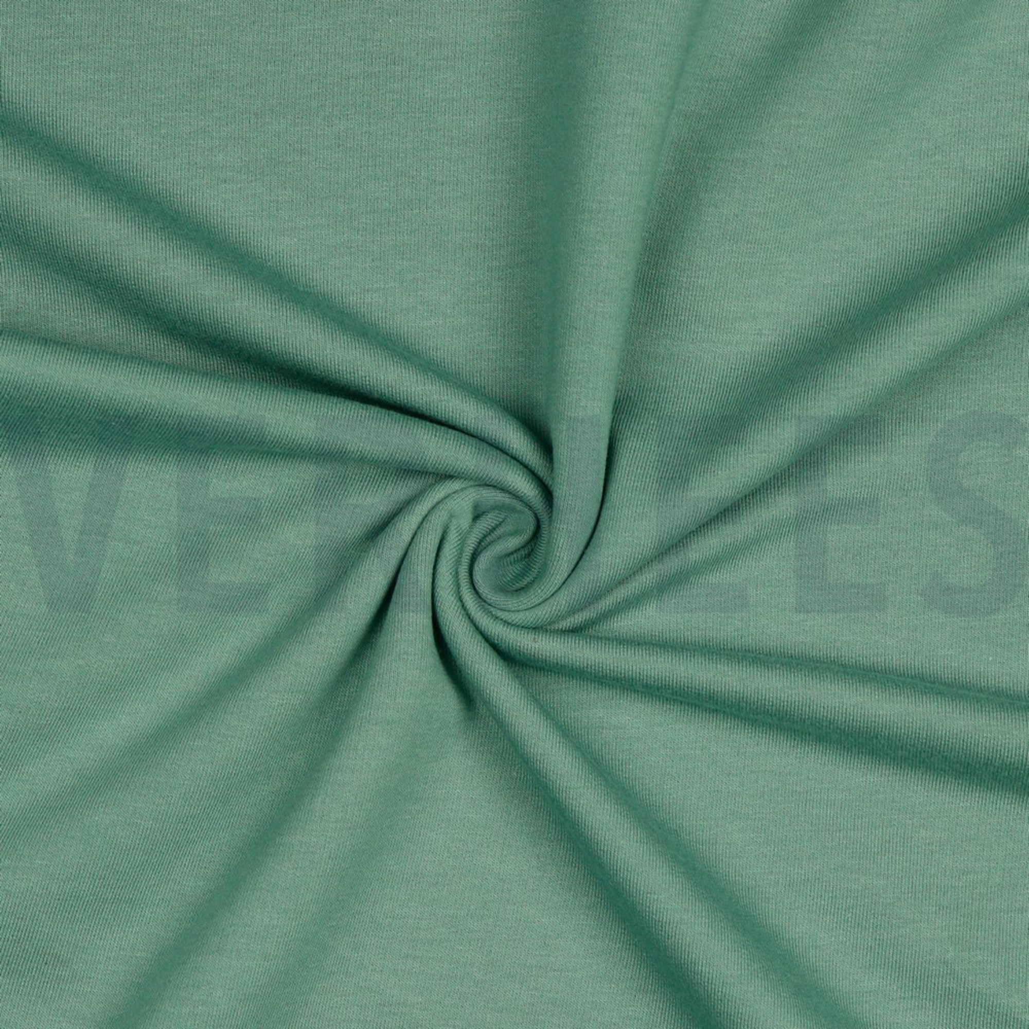 SWEAT OLD GREEN (high resolution) #2