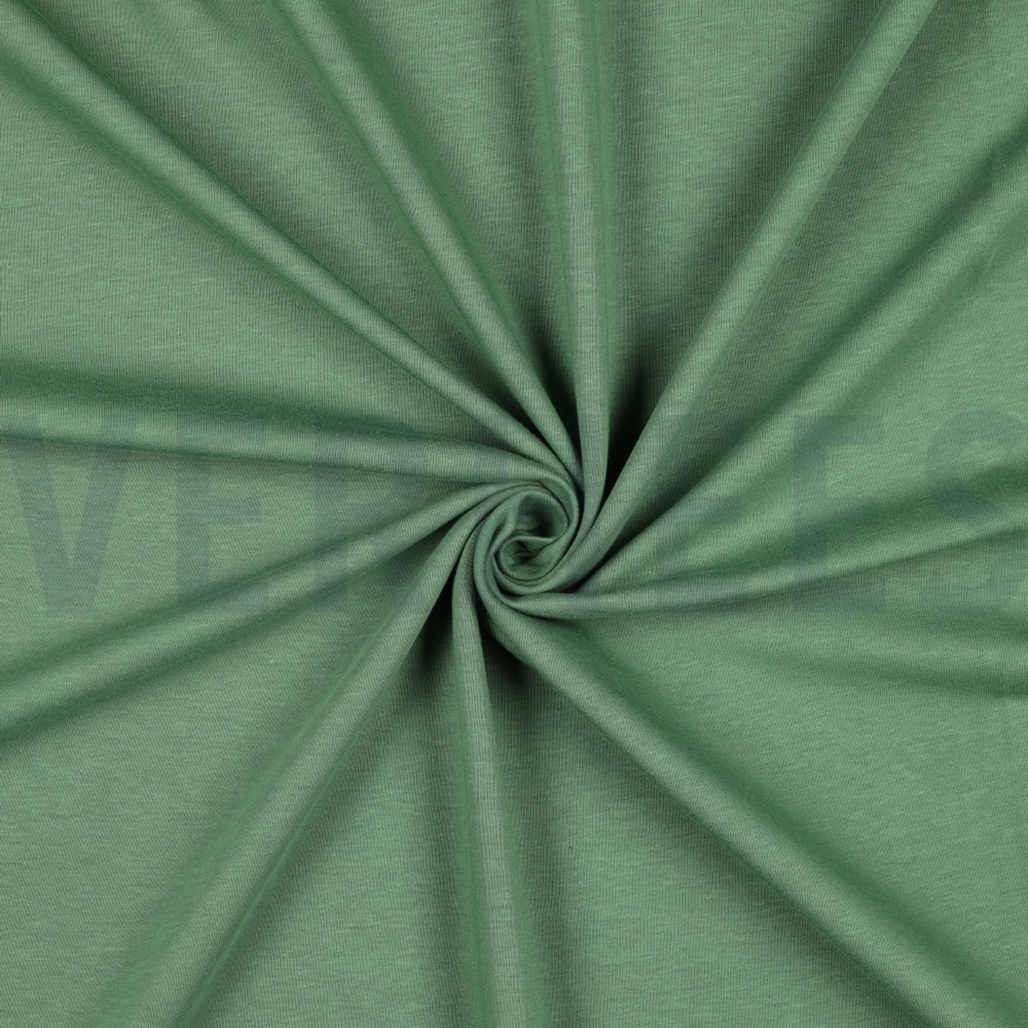 SWEAT FOREST GREEN (high resolution) #2