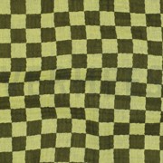 DOUBLE GAUZE DOUBLE SIDED CHECKS GREEN (thumbnail) #2