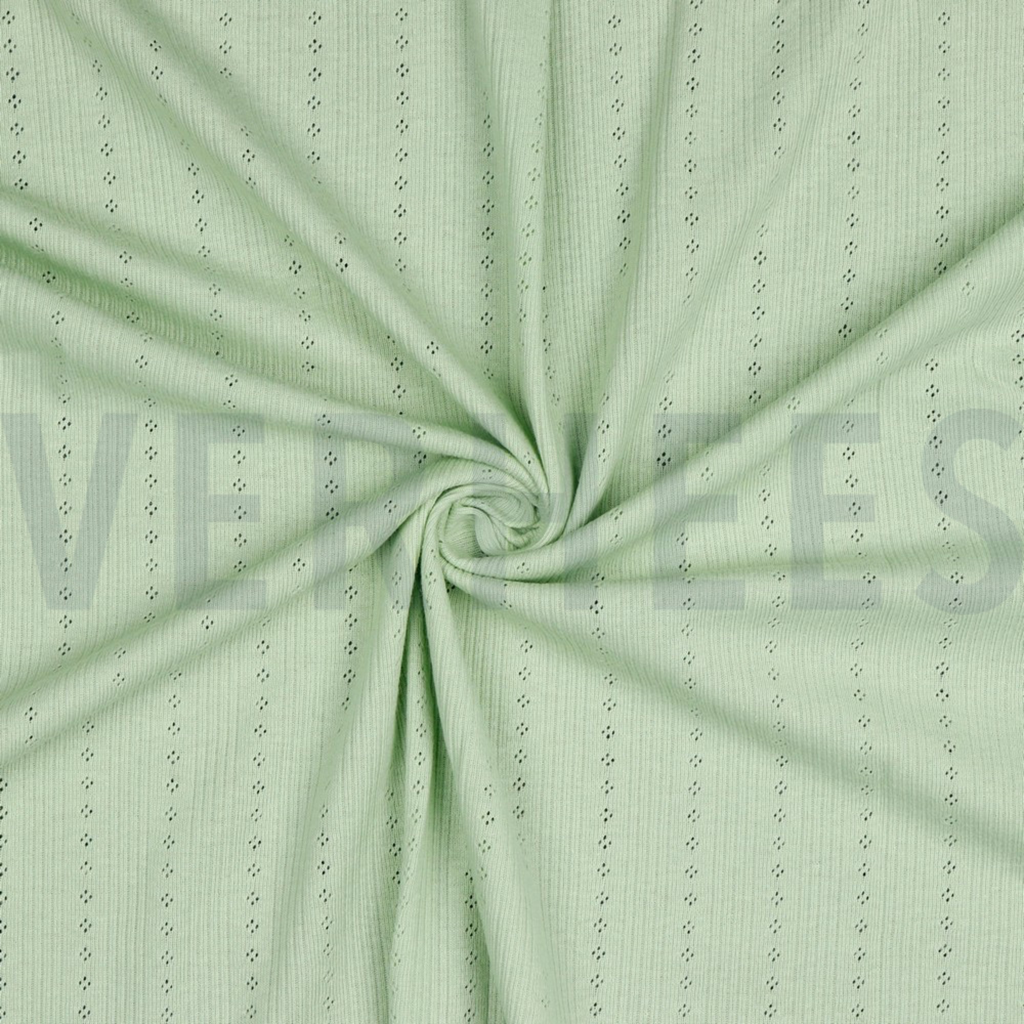 POINTOILLE SOFT GREEN (high resolution) #2