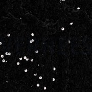 SEQUINS VELVET BLACK (thumbnail) #2