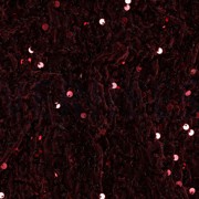 SEQUINS VELVET BORDEAUX (thumbnail) #2