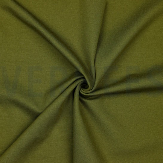 PUNTA DI ROMA OLIVE #7