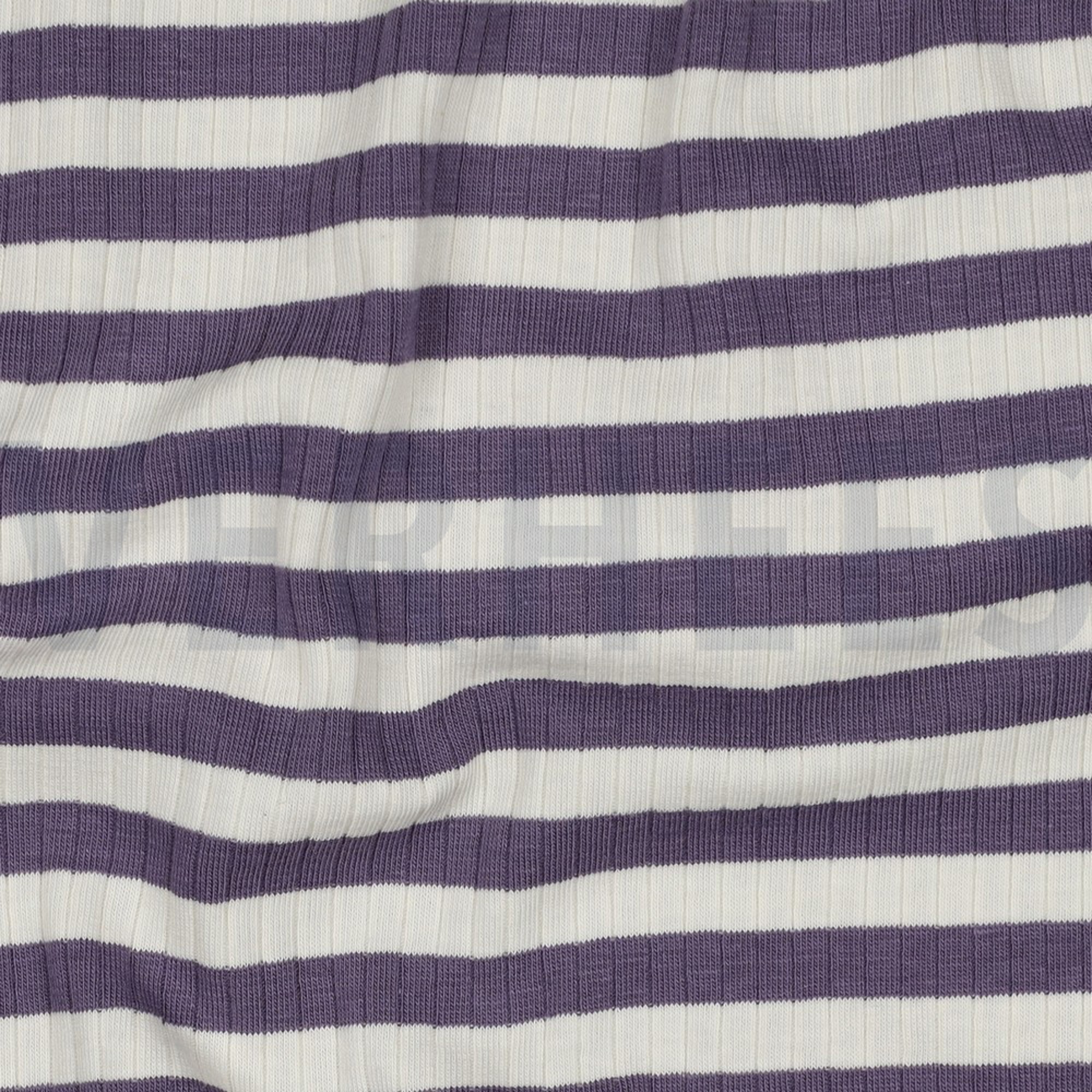 RIB YARN DYED STRIPE GRAPE (high resolution) #2