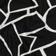 CANVAS ABSTRACT BLACK & WHITE (thumbnail) #2