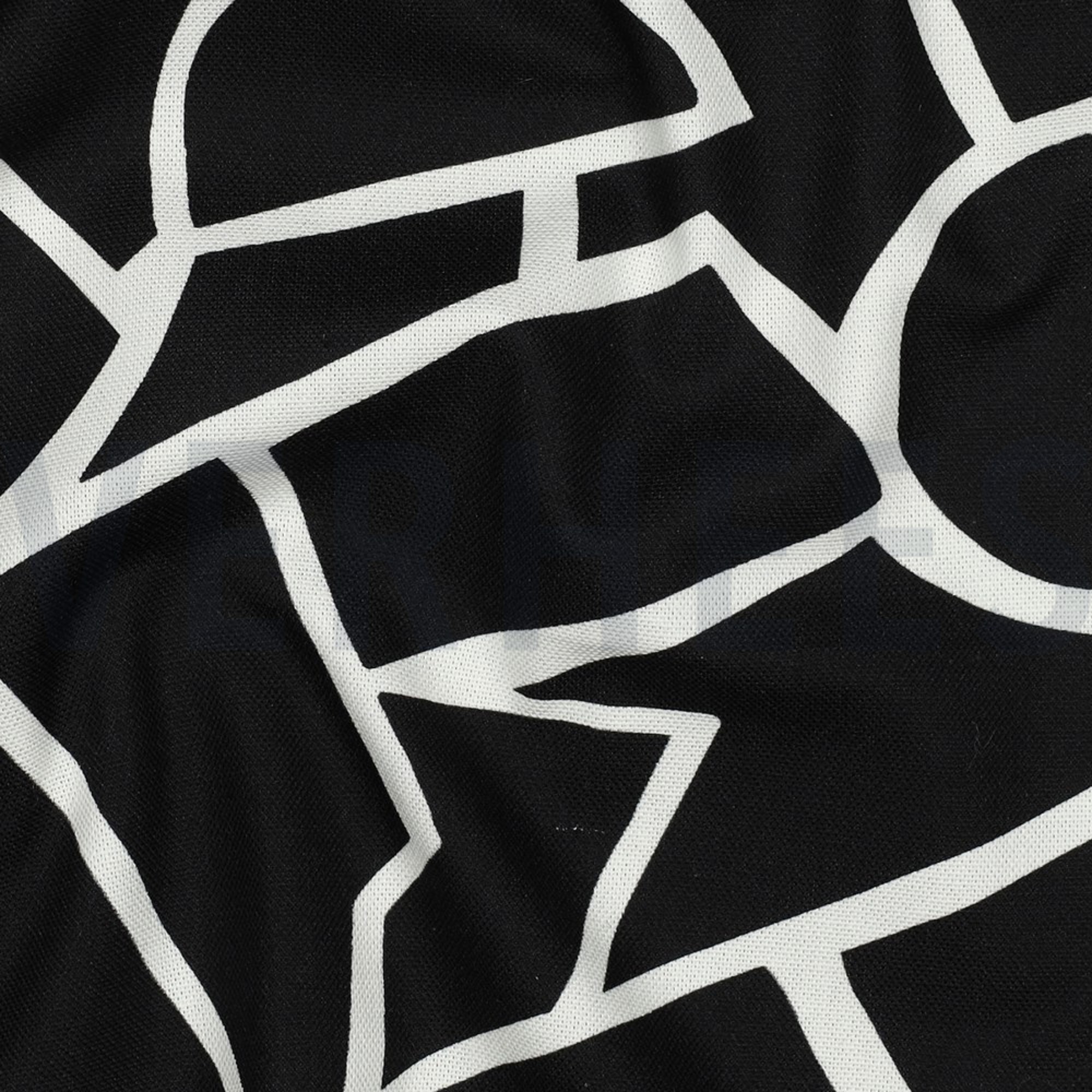 CANVAS ABSTRACT BLACK & WHITE (high resolution) #2