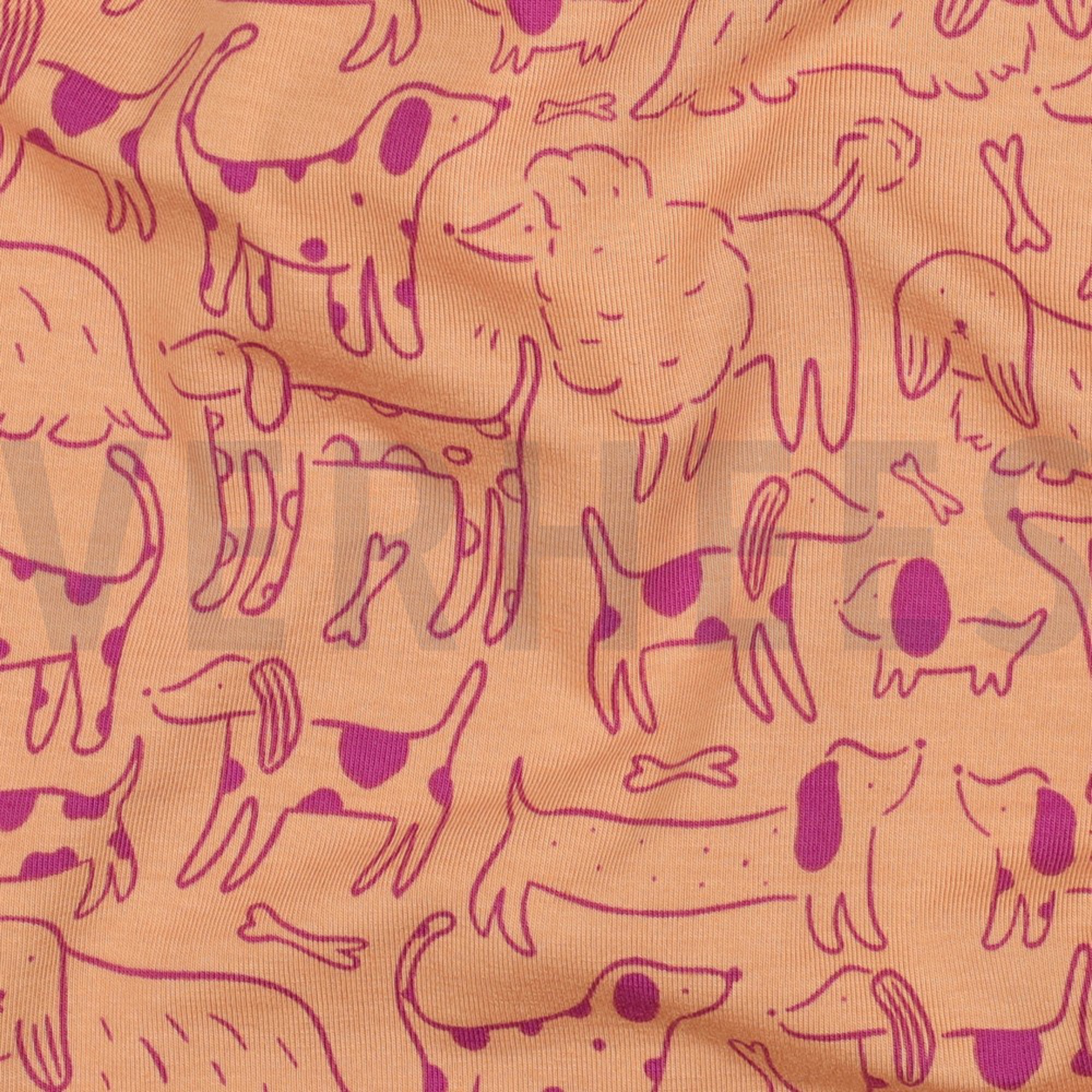 JERSEY DOGS PEACH (high resolution) #2