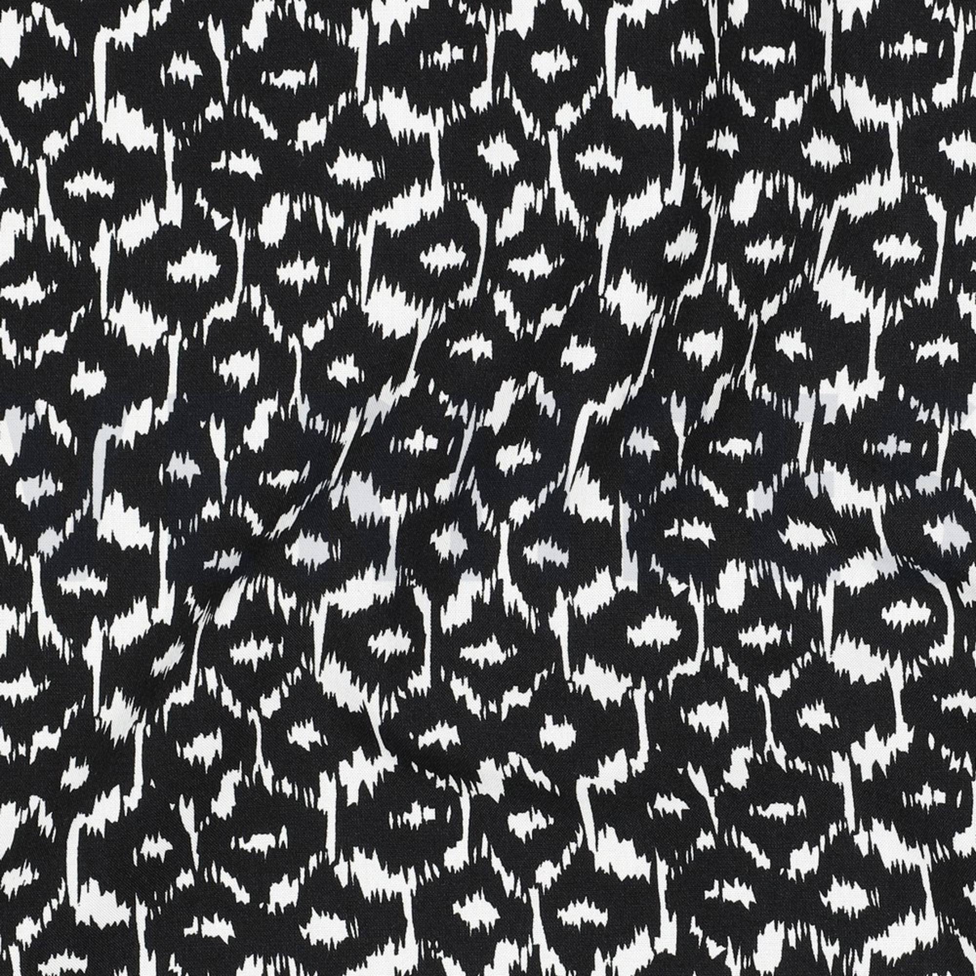 RADIANCE ABSTRACT BLACK (high resolution) #2