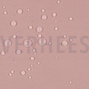 OUTDOOR WATERPROOF OLD ROSE (thumbnail) #2