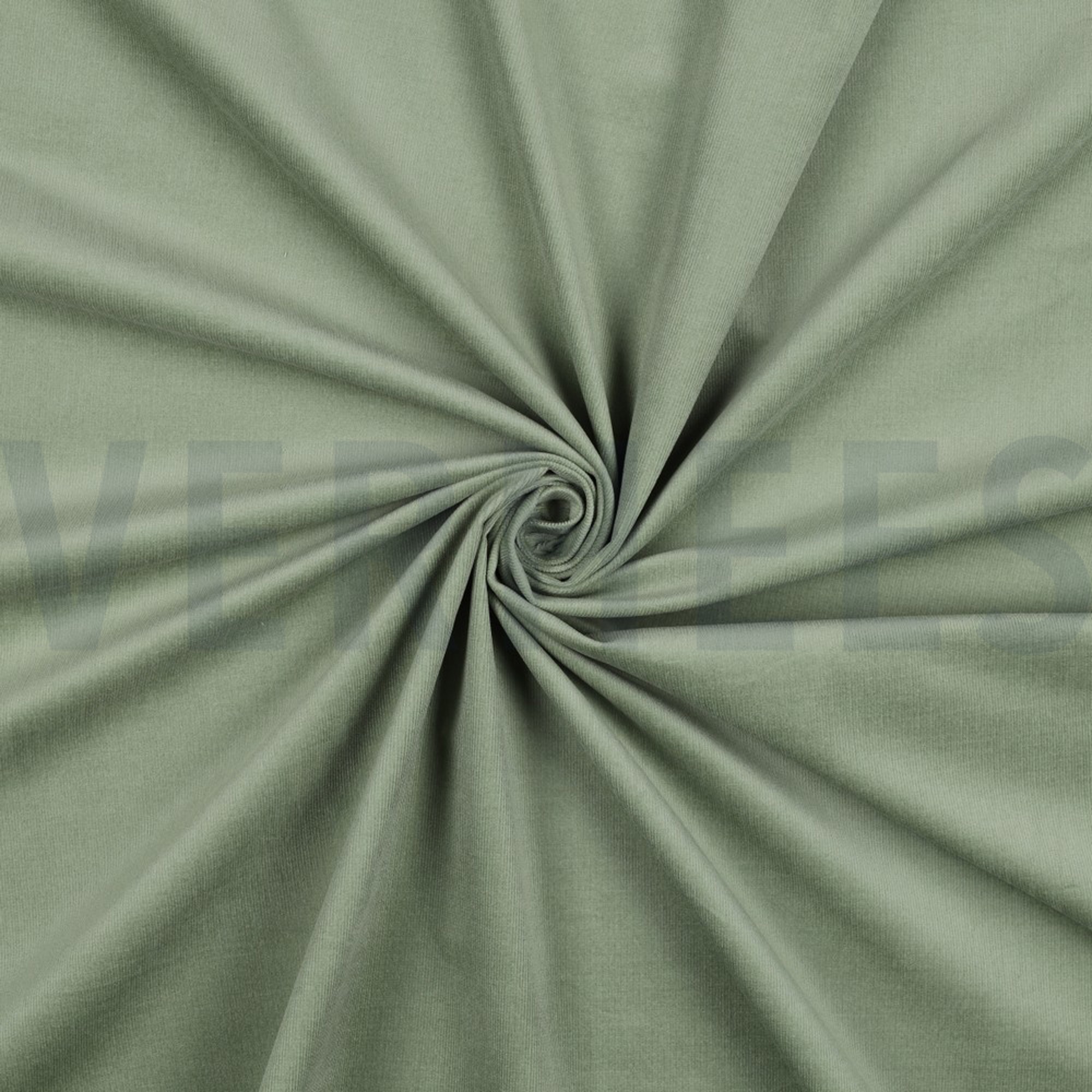 BABYCORD STRETCH 28W BASIL (high resolution) #2