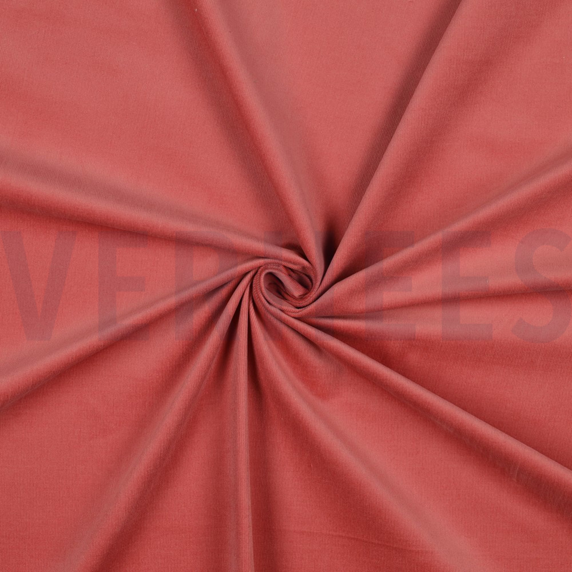 BABYCORD STRETCH 28W BLUSH (high resolution) #2