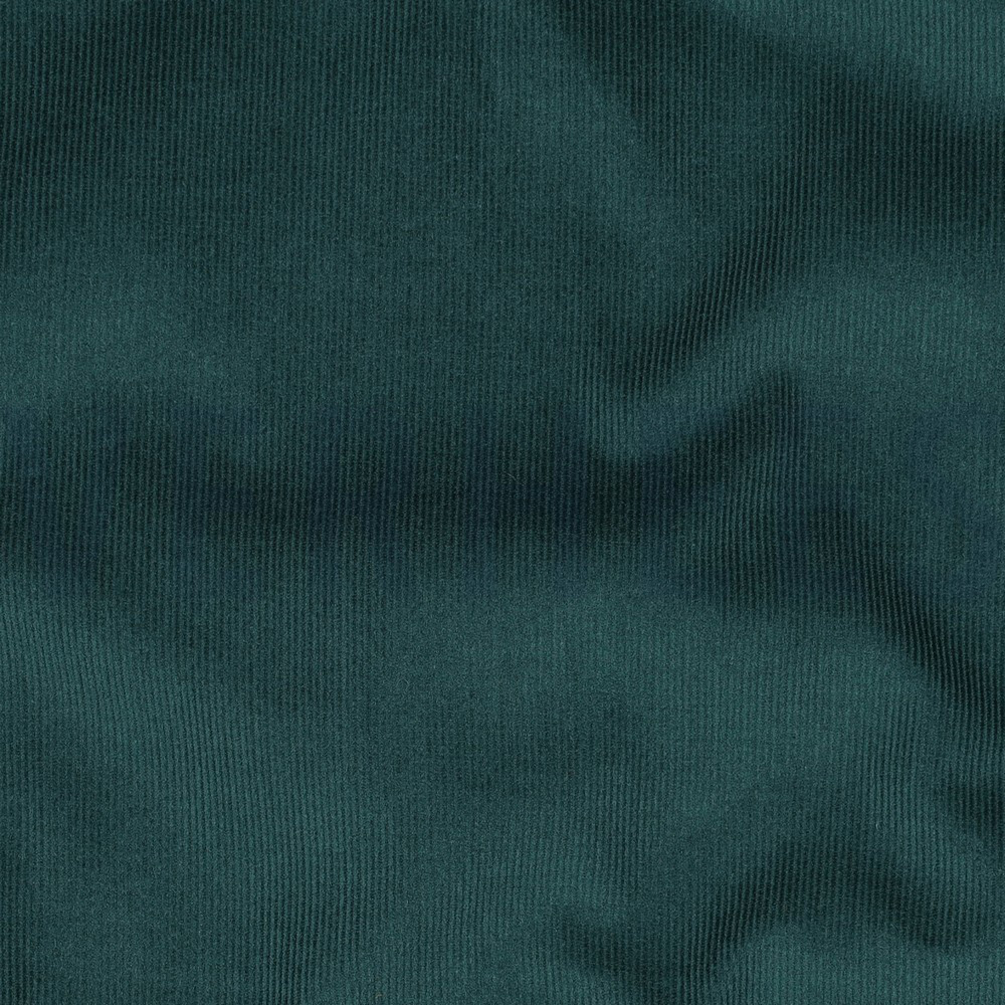 BABYCORD 21W PINE (high resolution) #2