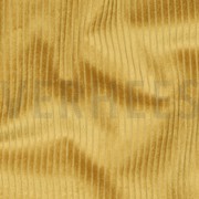 WASHED CORD 4.5W CURRY (thumbnail) #2