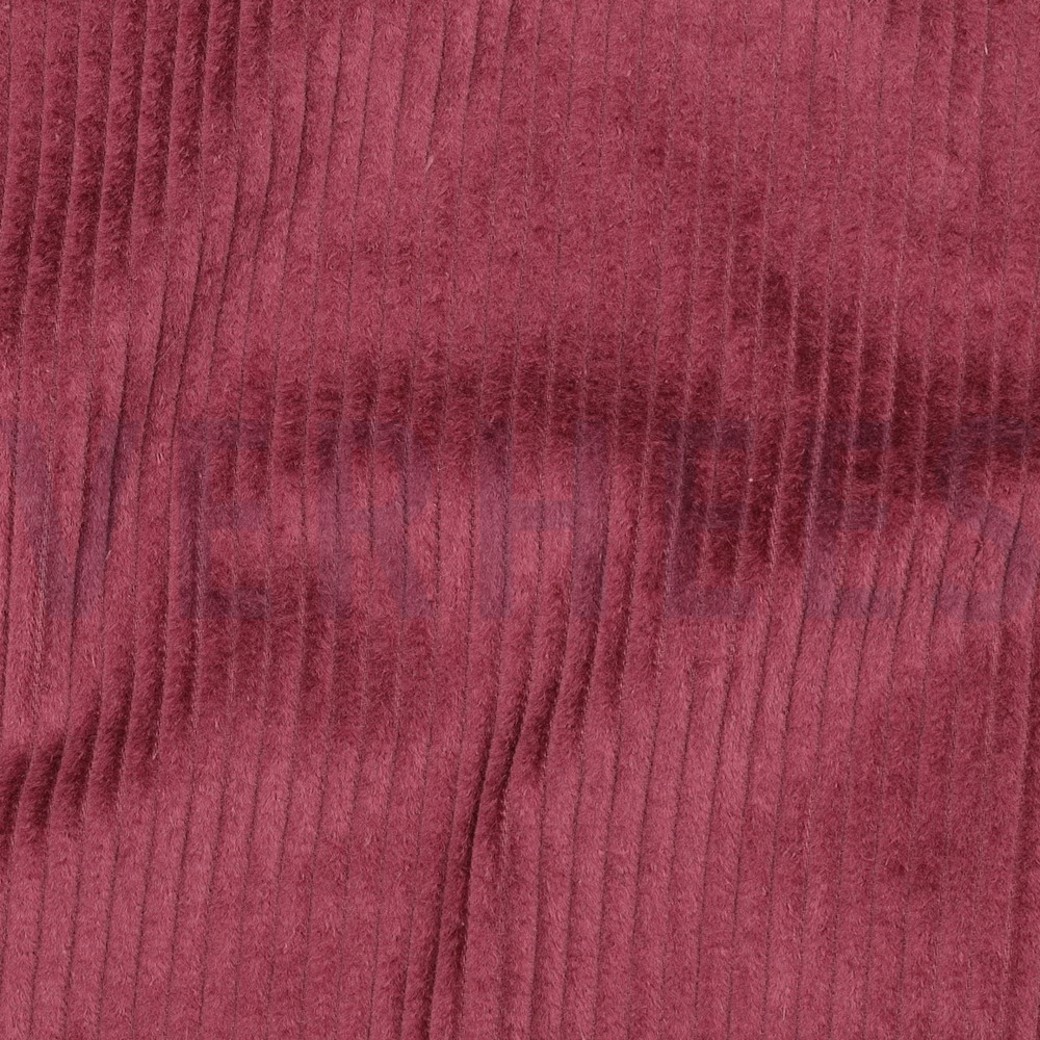 WASHED CORD 4.5W BERRY #2
