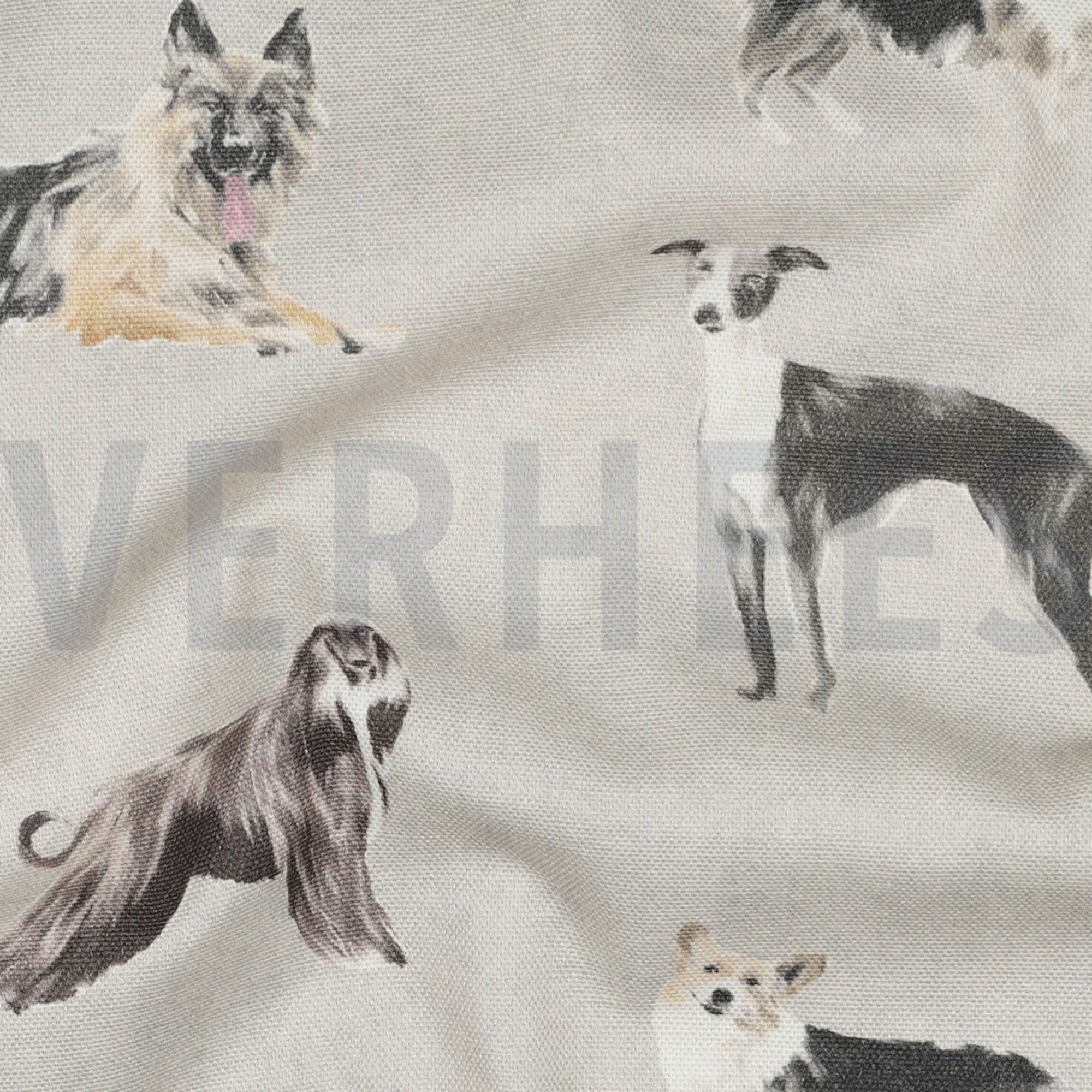 CANVAS DIGITAL DOGS ECRU (high resolution) #2