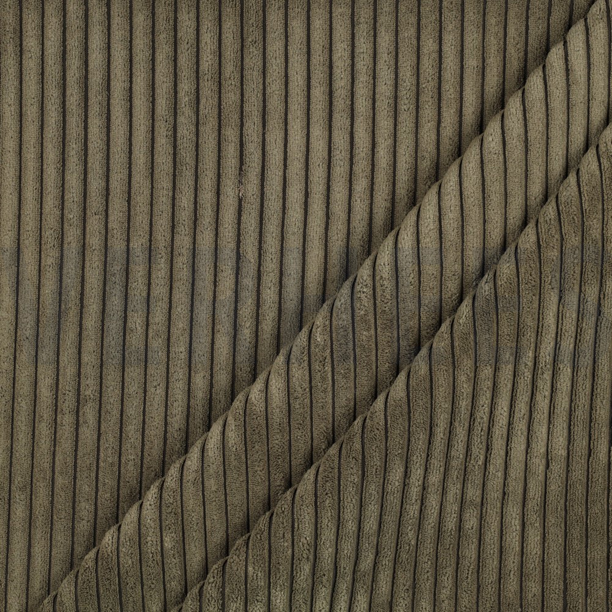VELOURS DECO CORDUROY OLIVE (high resolution) #2