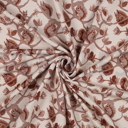 FRENCH TERRY DIGITAL SQUIRRELS ECRU #7