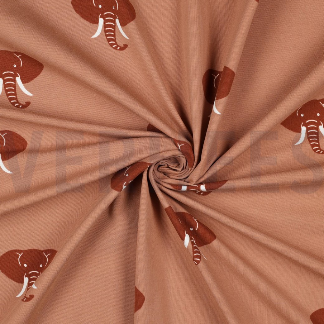 JERSEY ELEPHANT DARK APRICOT #2