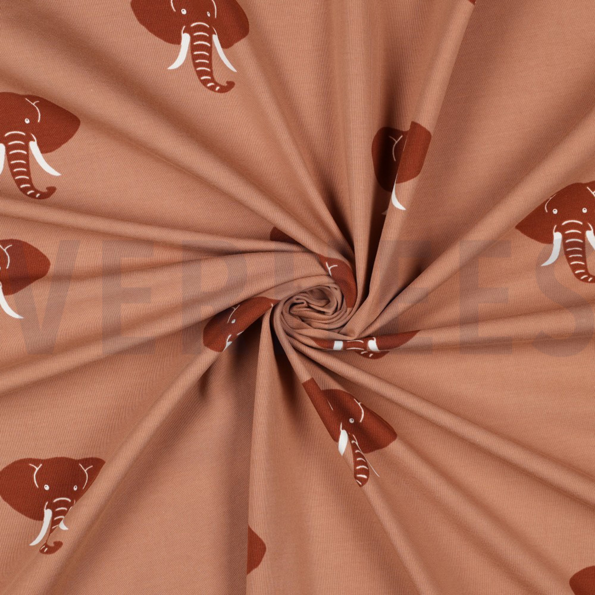 JERSEY ELEPHANT DARK APRICOT (high resolution) #2