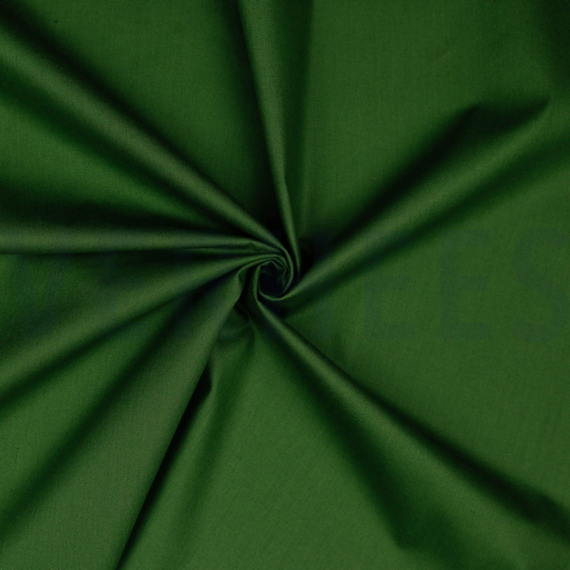COTTON POPLIN FOREST GREEN (high resolution) #2