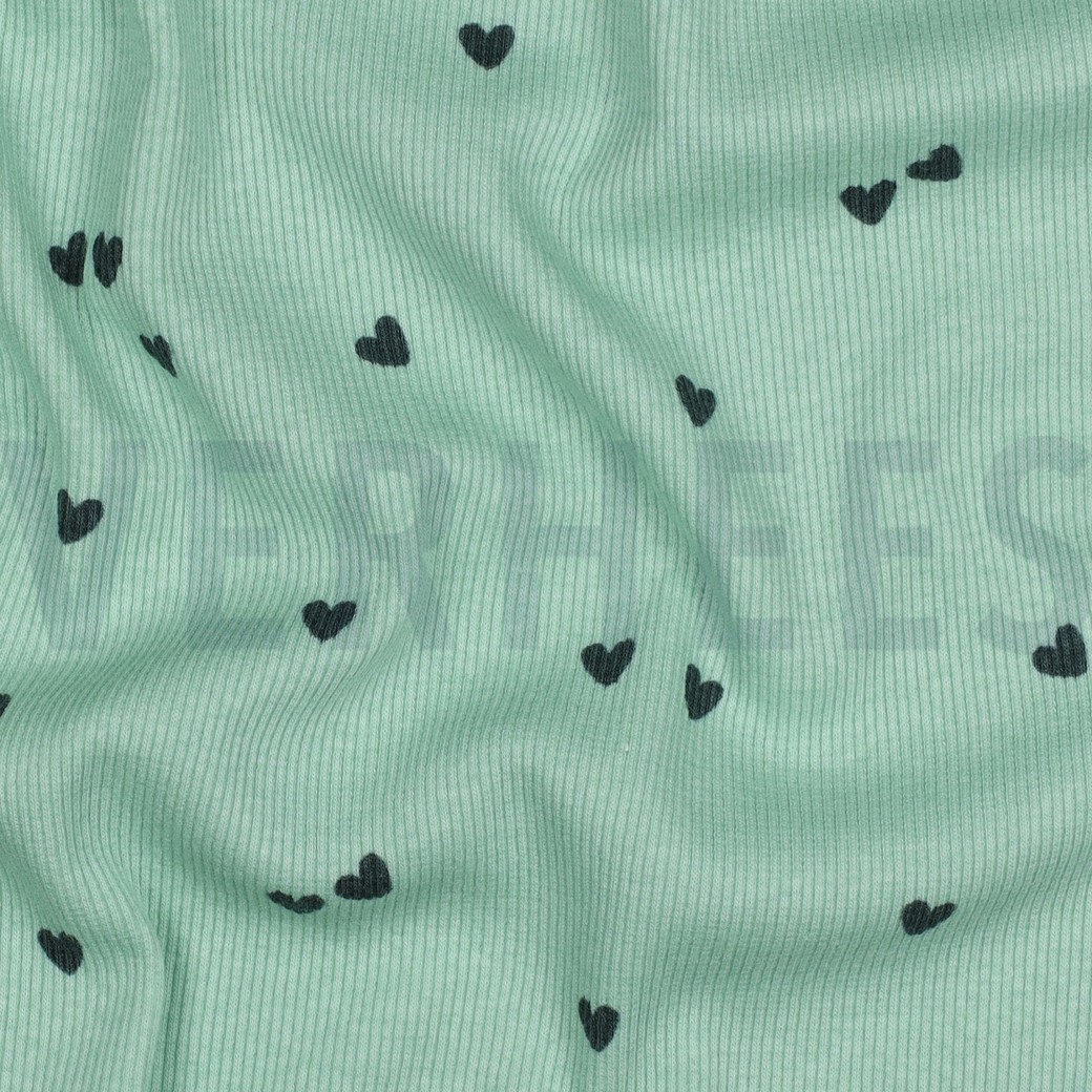 RIB JERSEY HEARTS SAGE #2