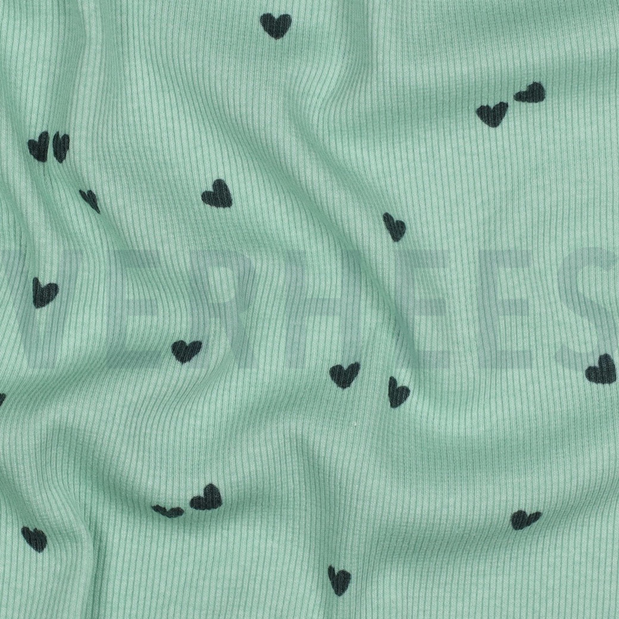 RIB JERSEY HEARTS SAGE (high resolution) #2