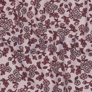 FLANNEL FLOWERS LIGHT PINK (thumbnail) #2