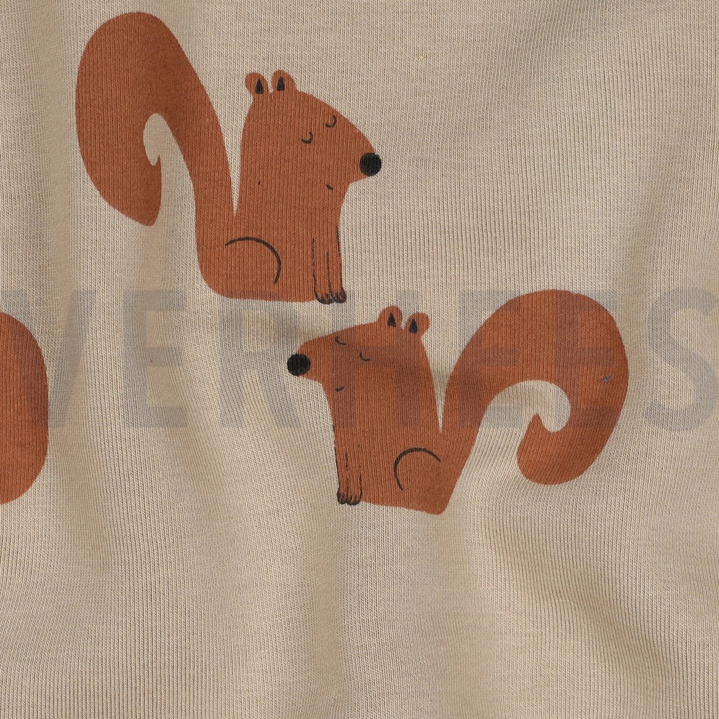 JOGGING SQUIRRELS SAND #2