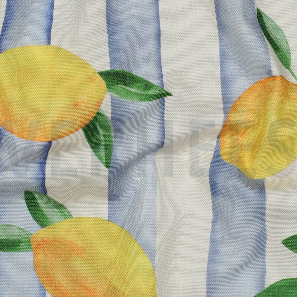 CANVAS DIGITAL LEMONS BLUE #2