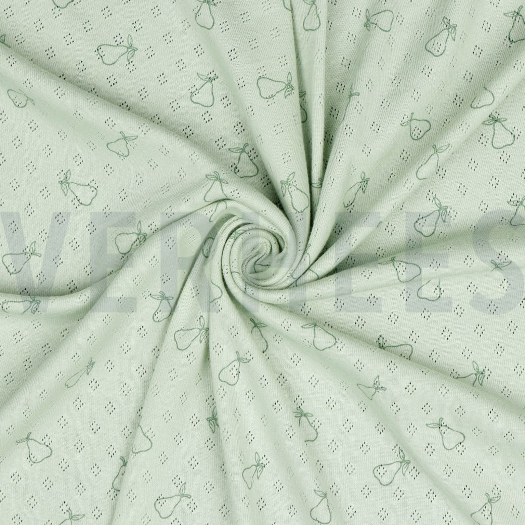 POINTOILLE PEAR NILE #2