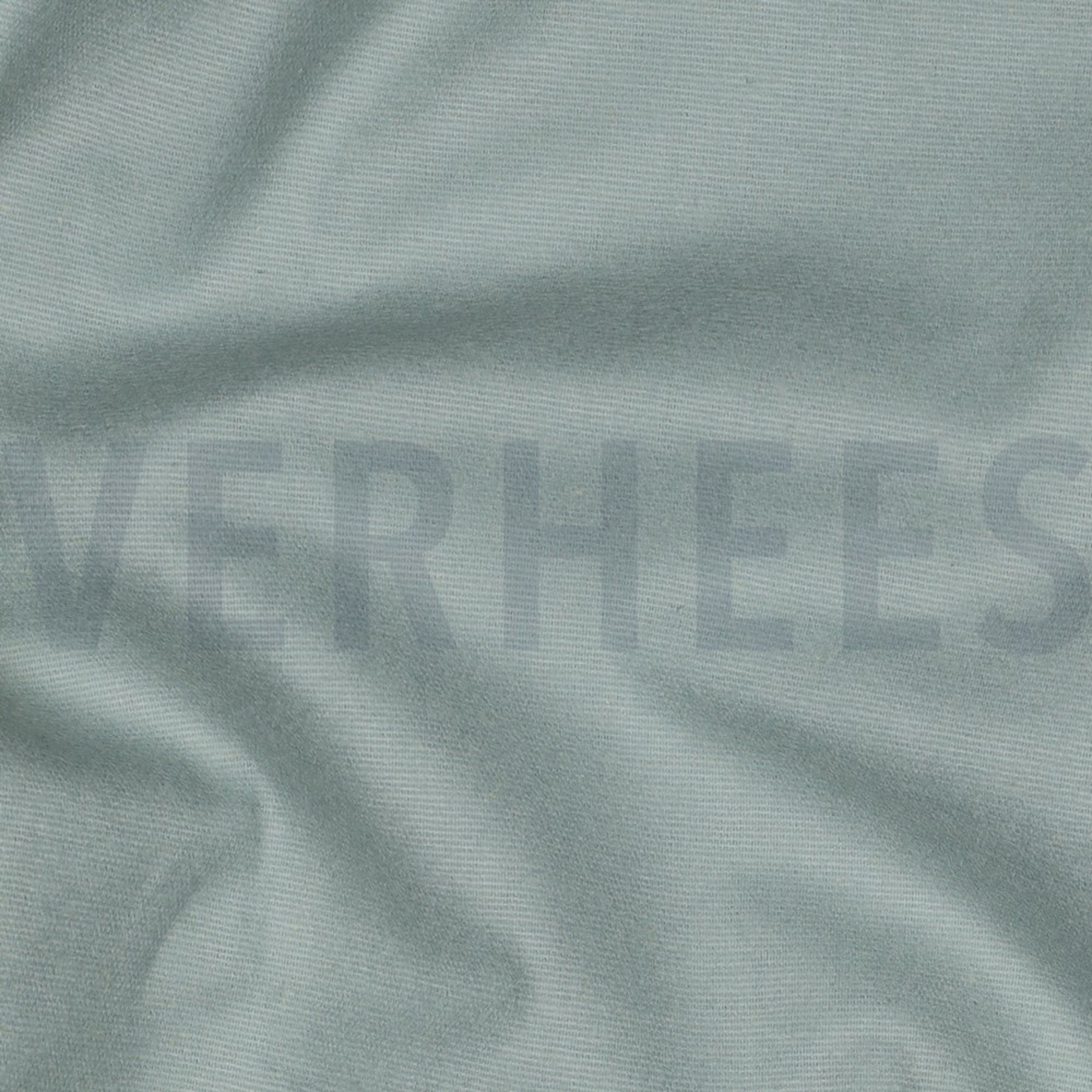 FLANNEL MINT (high resolution) #2