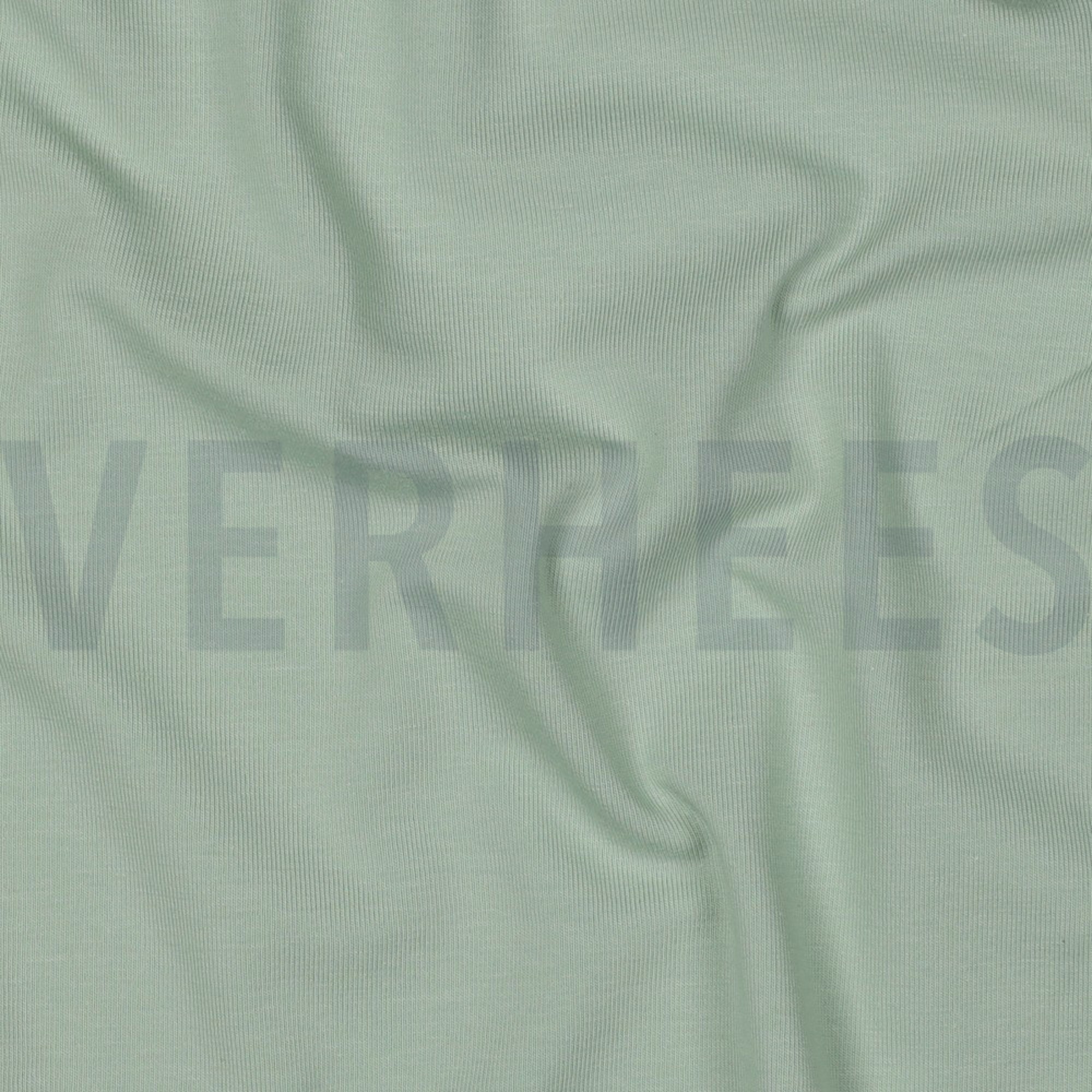 JERSEY GOTS LIGHT GREEN (high resolution) #2