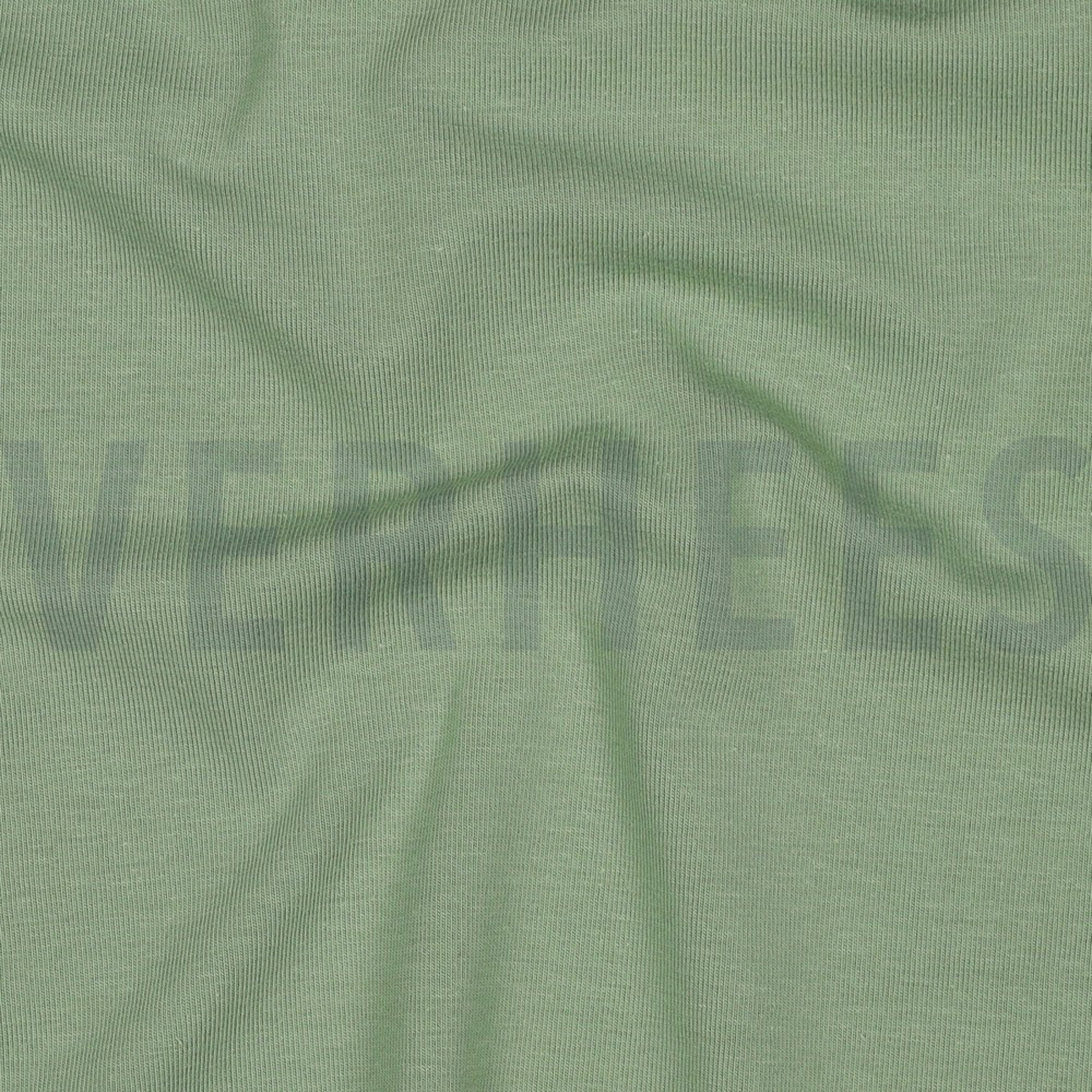 JERSEY GOTS MINT GREEN (high resolution) #2