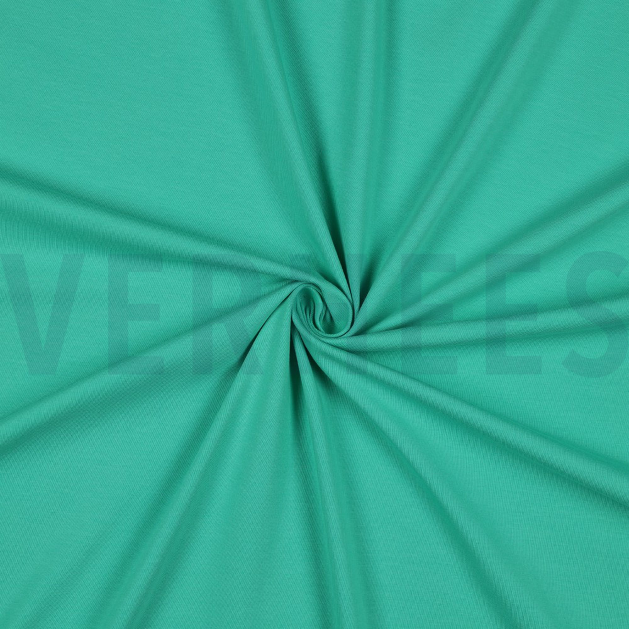 JERSEY GOTS GREEN (high resolution) #2