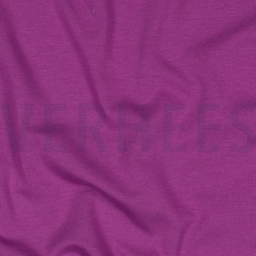 JERSEY GOTS VIOLET #2