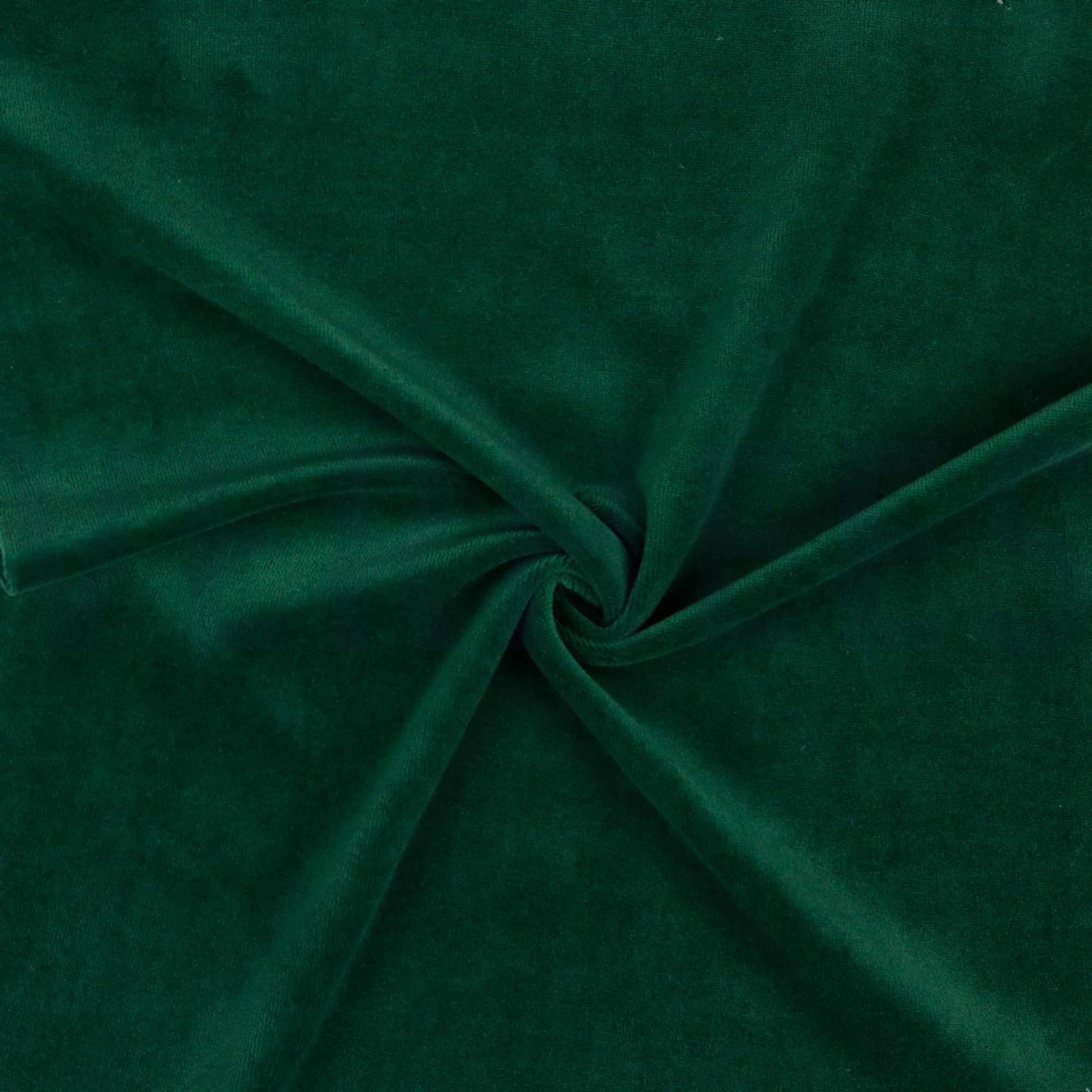 NICKY DARK GREEN (high resolution) #2