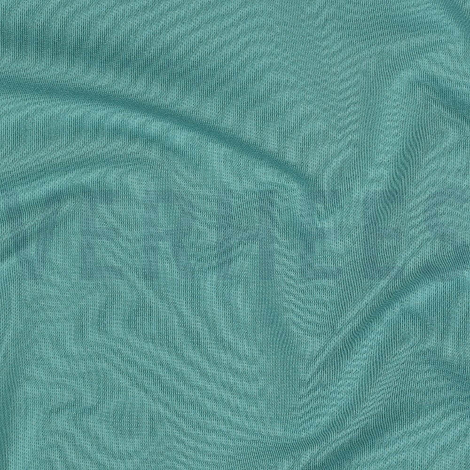 FRENCH TERRY GOTS OLD GREEN (high resolution) #2