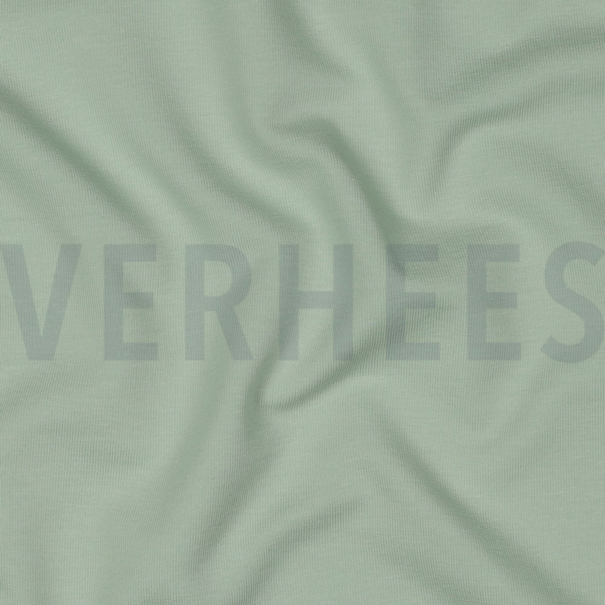 FRENCH TERRY GOTS LIGHT GREEN (high resolution) #2