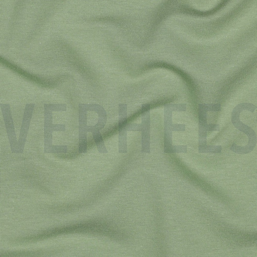 FRENCH TERRY GOTS MINT GREEN #2