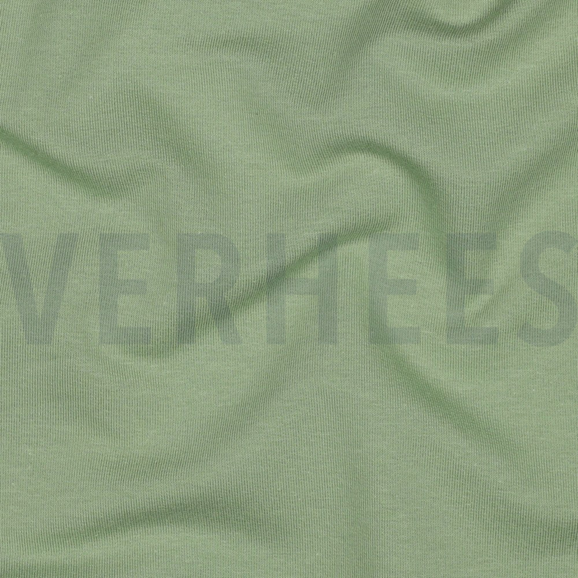 FRENCH TERRY GOTS MINT GREEN (high resolution) #2