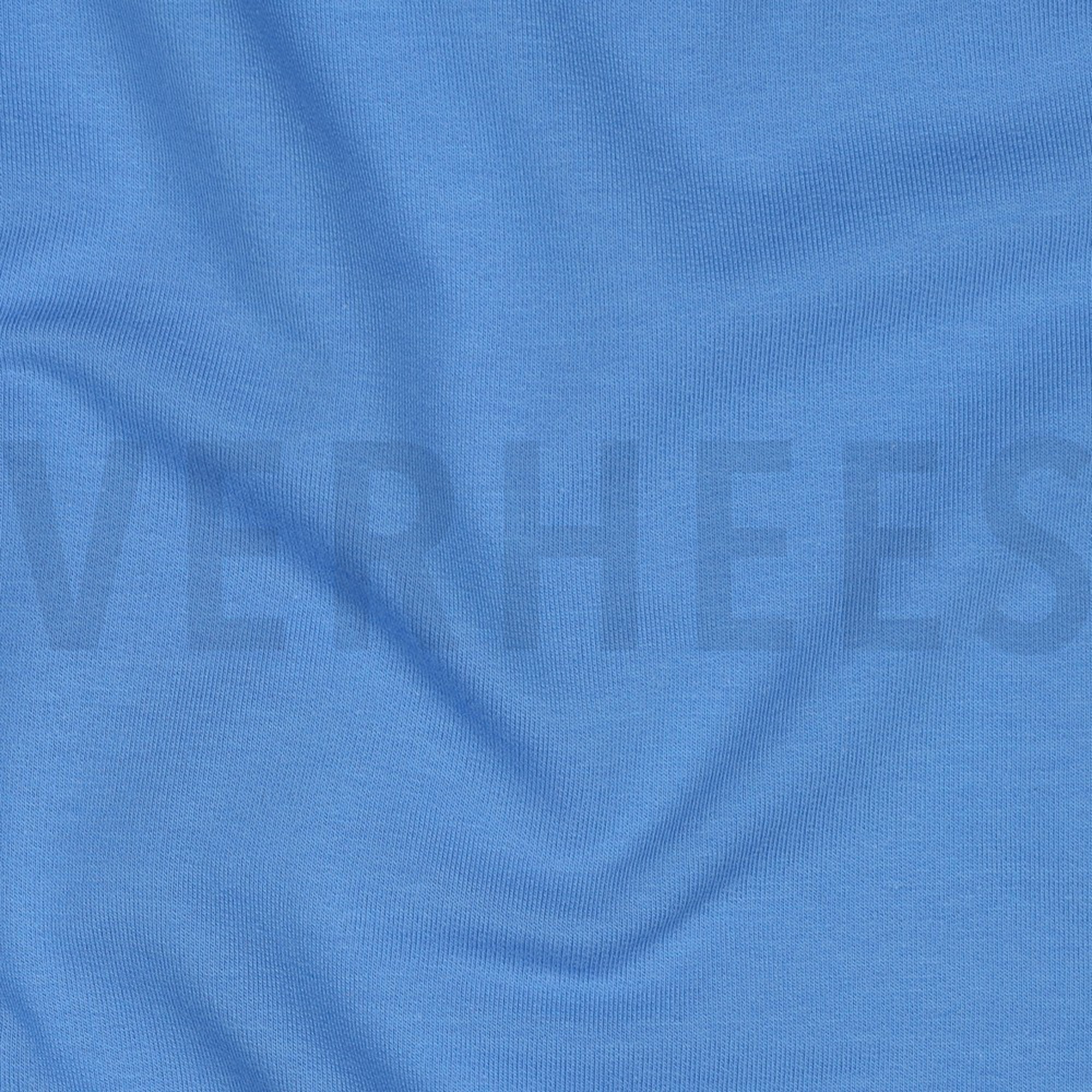 FRENCH TERRY GOTS BLUE (high resolution) #2