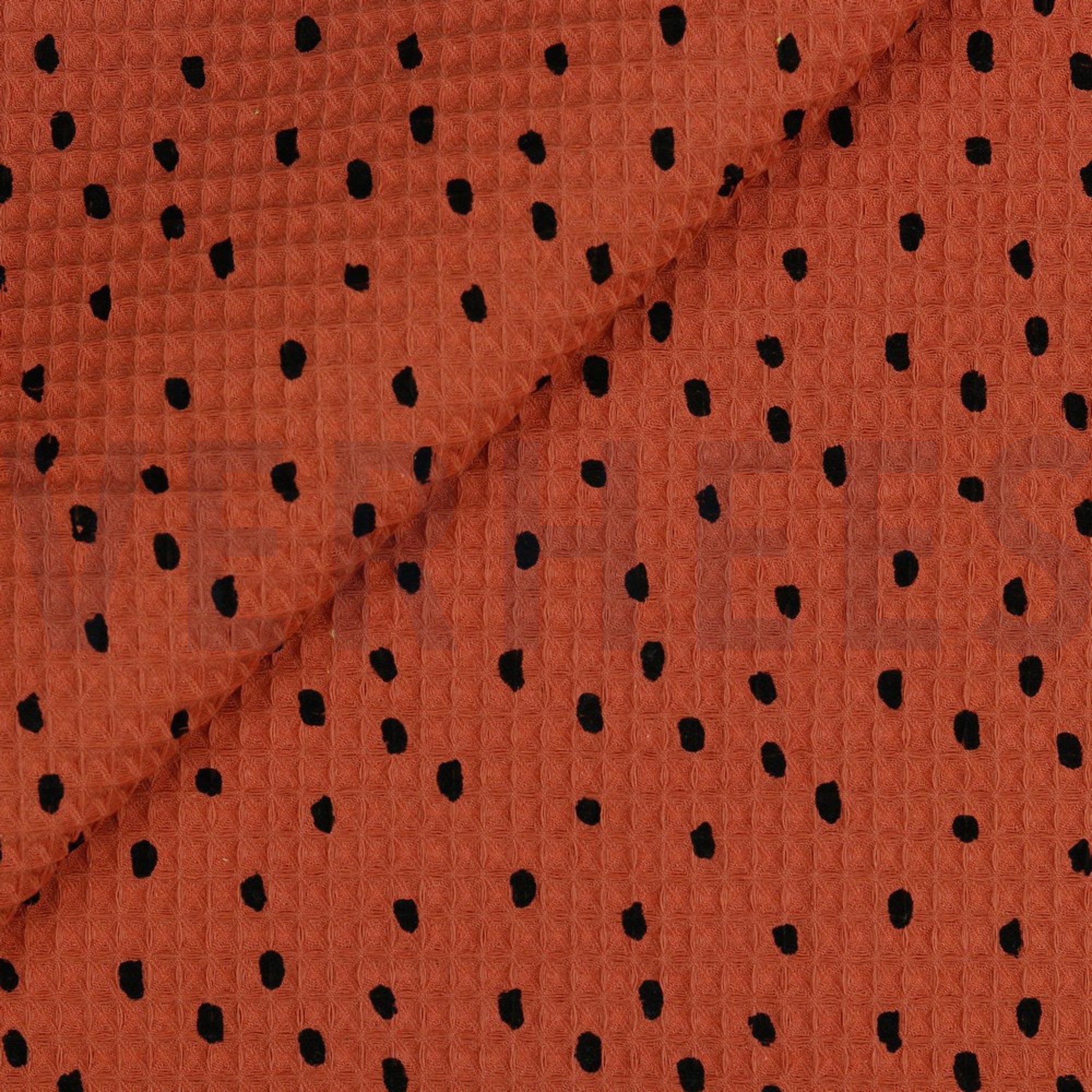 WAFFLE DOTS BRIQUE (high resolution) #2