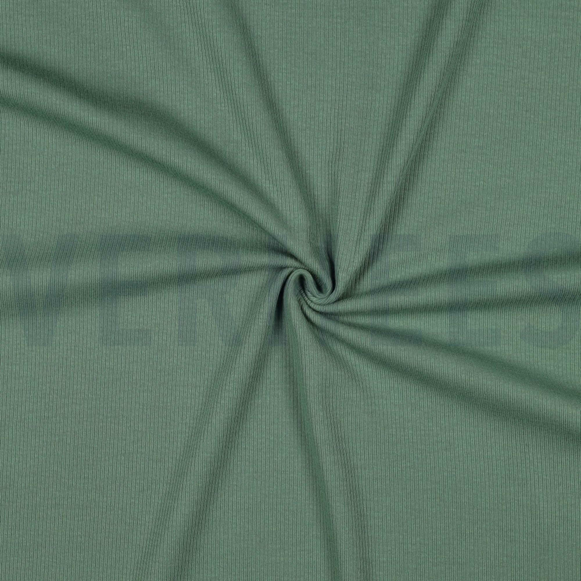 RIB JERSEY  GREEN (high resolution) #3