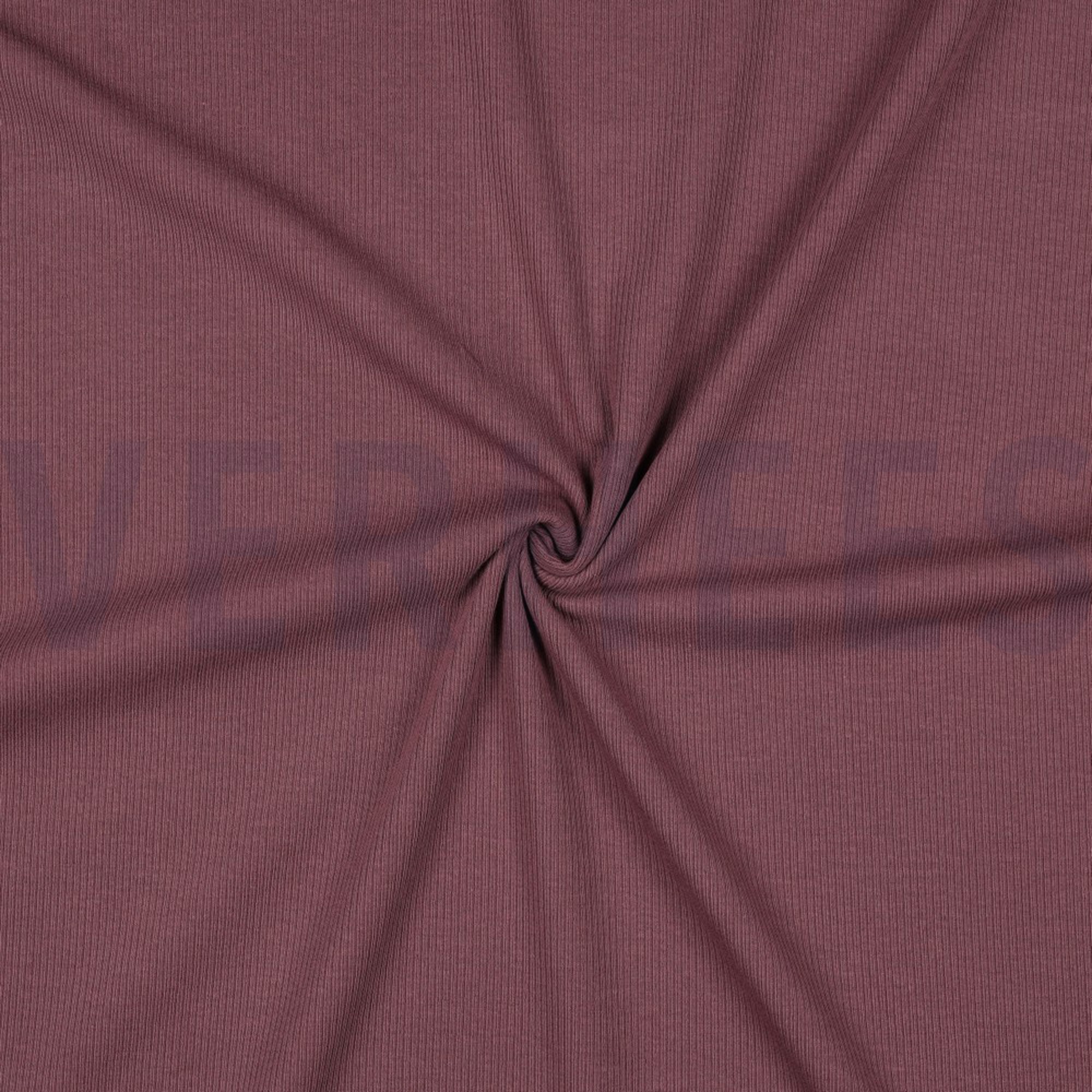 RIB JERSEY AUBERGINE (high resolution) #3