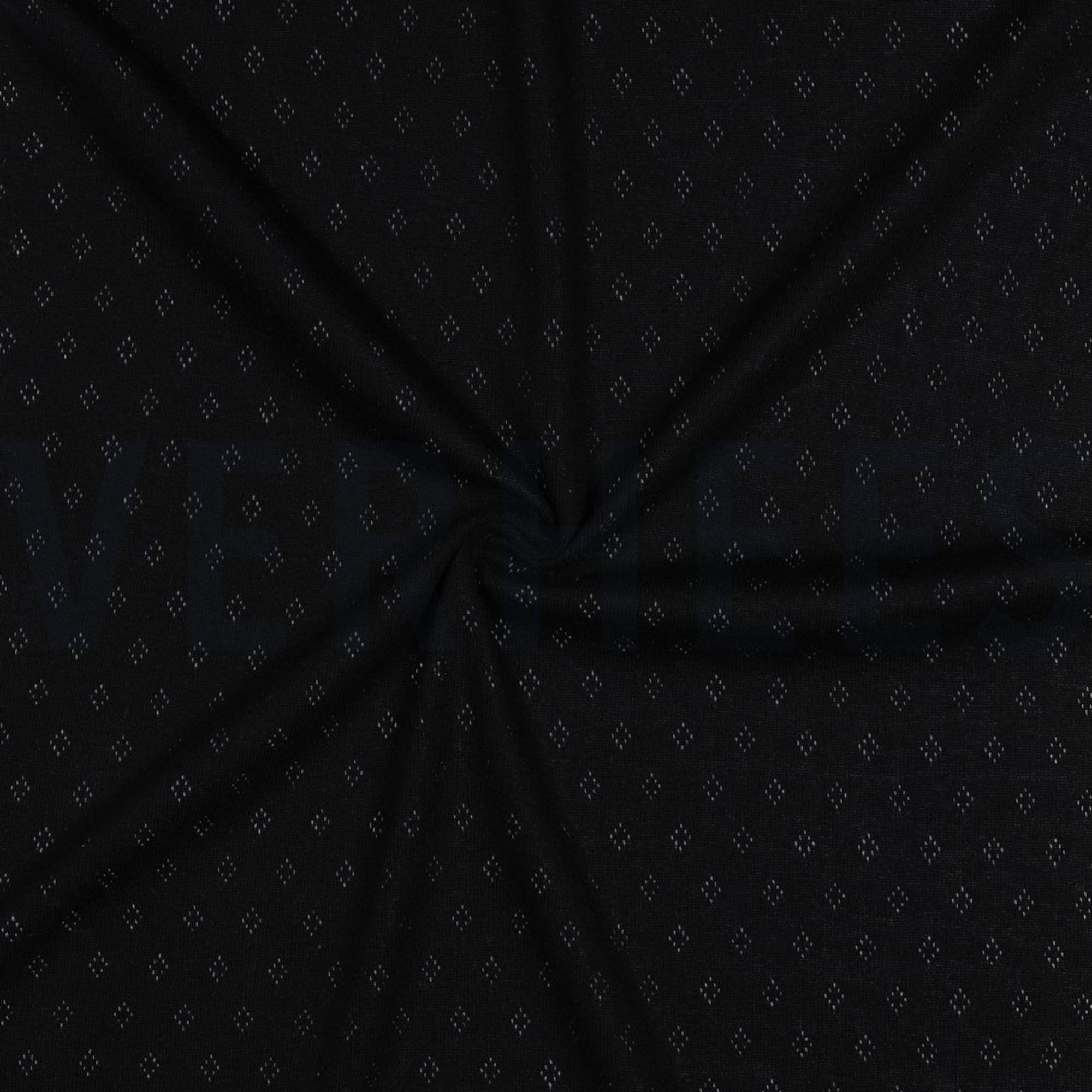 POINTOILLE BLACK (high resolution) #3