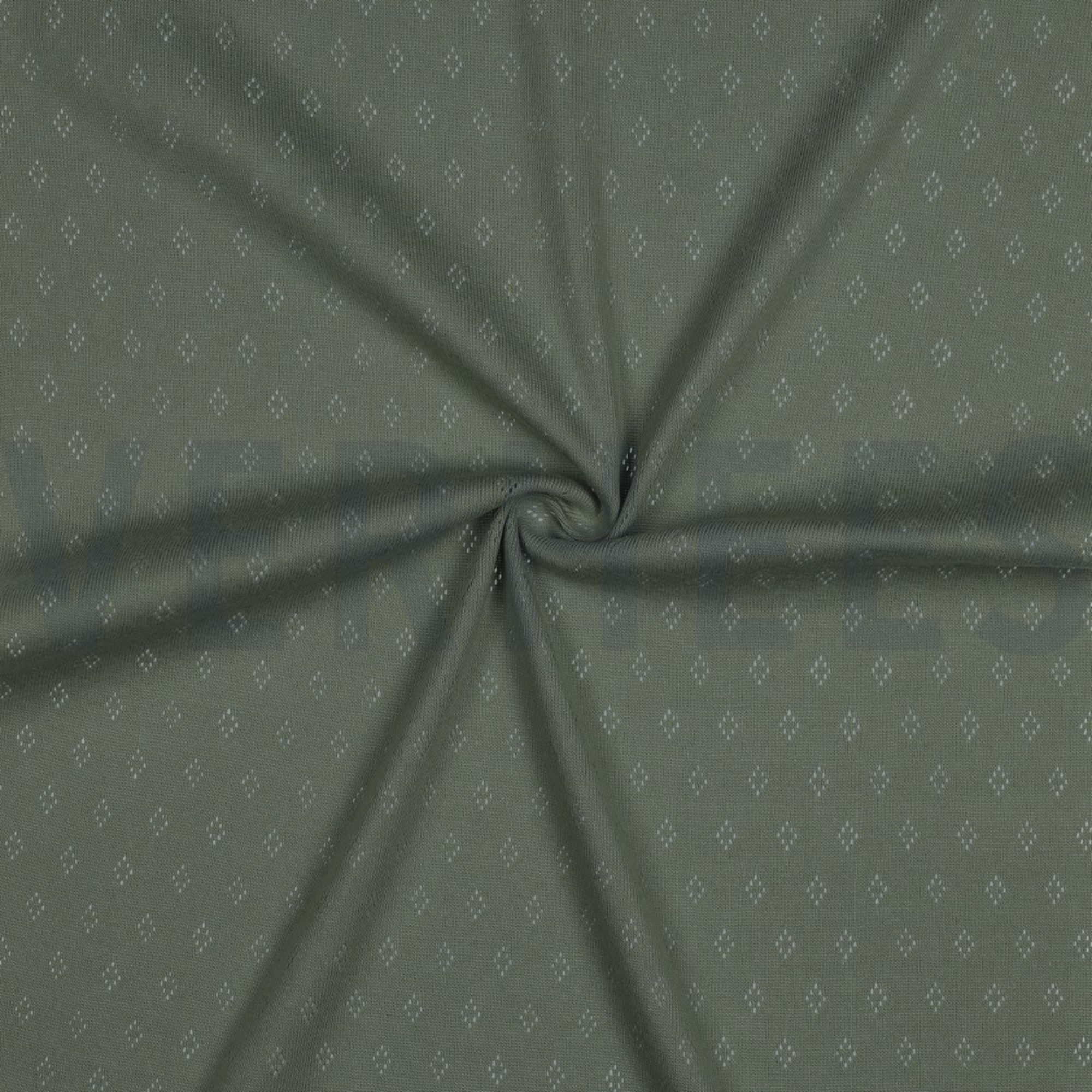 POINTOILLE OLD GREEN (high resolution) #3
