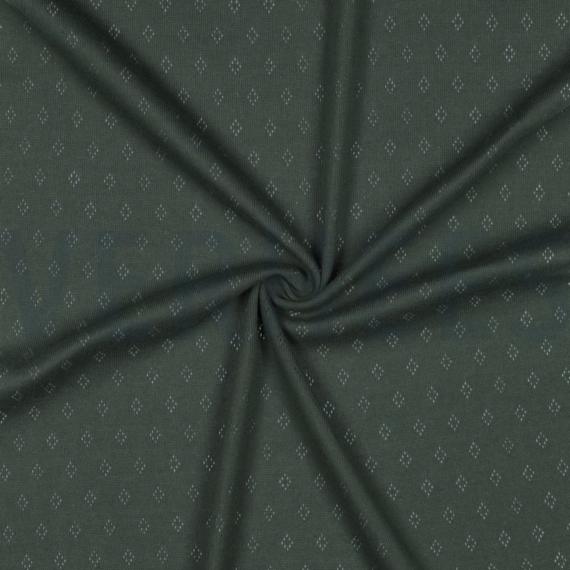 POINTOILLE DARK GREEN (high resolution) #3