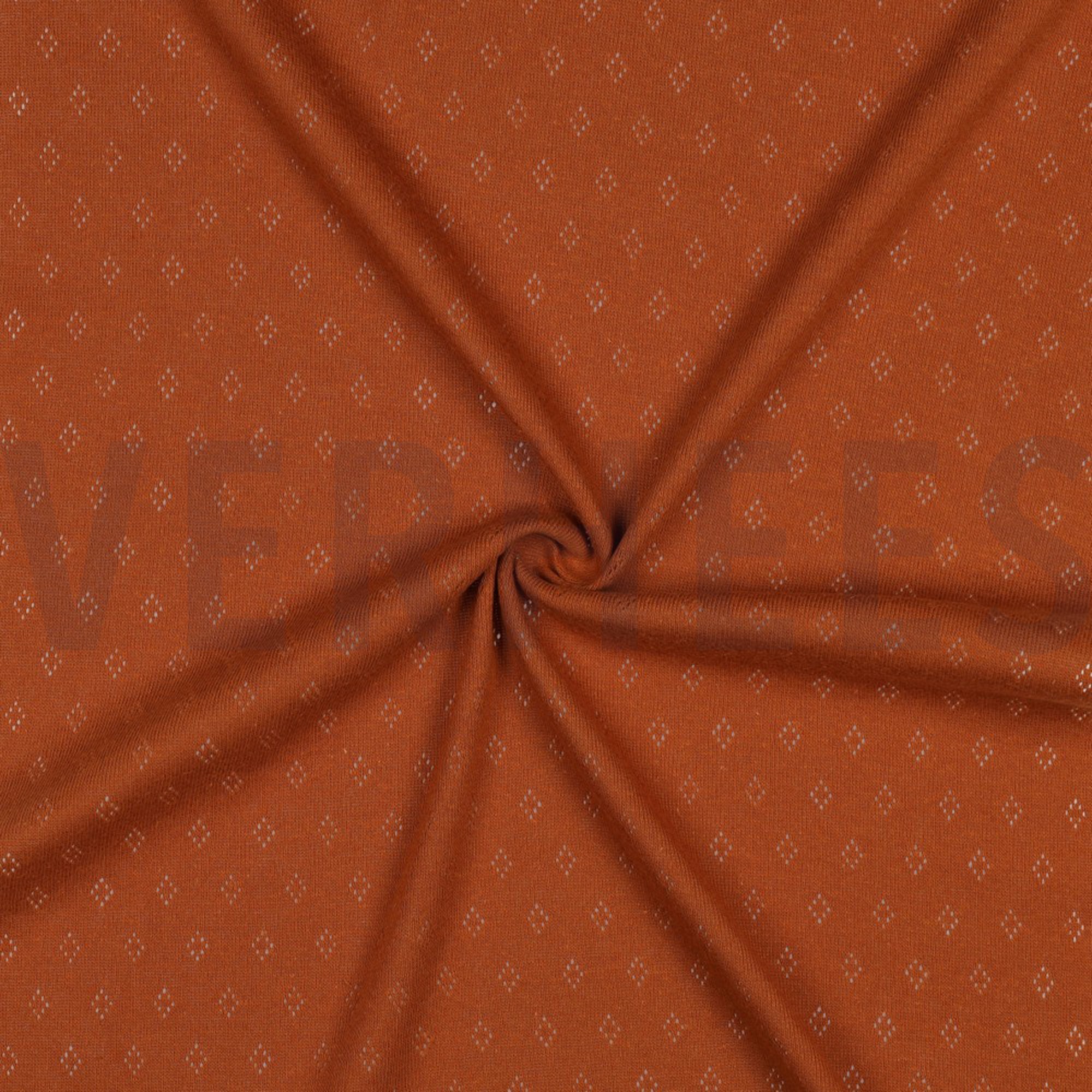 POINTOILLE COGNAC (high resolution) #3