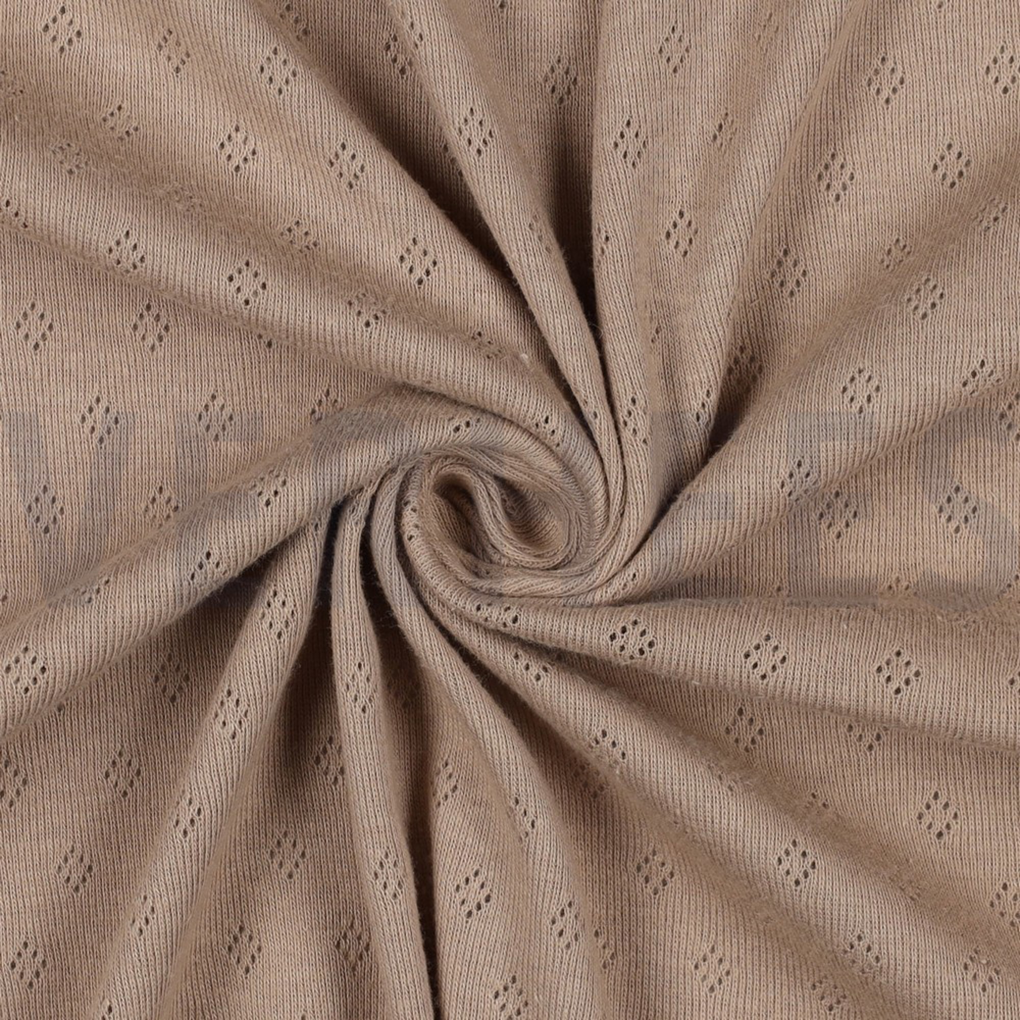 POINTOILLE CAPPUCCHINO (high resolution) #3